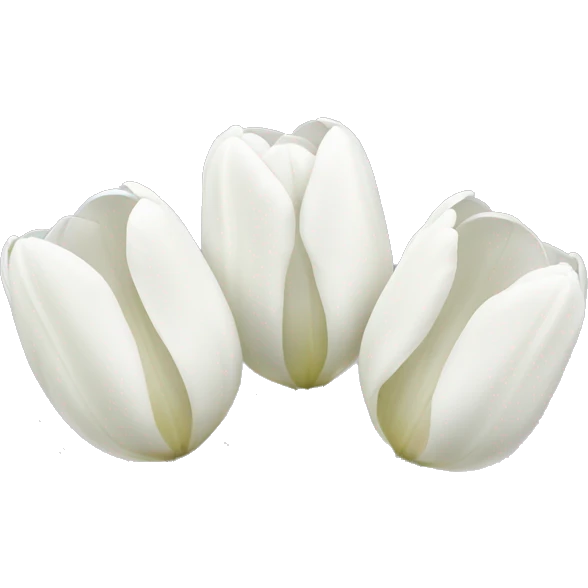 White tulips emoji