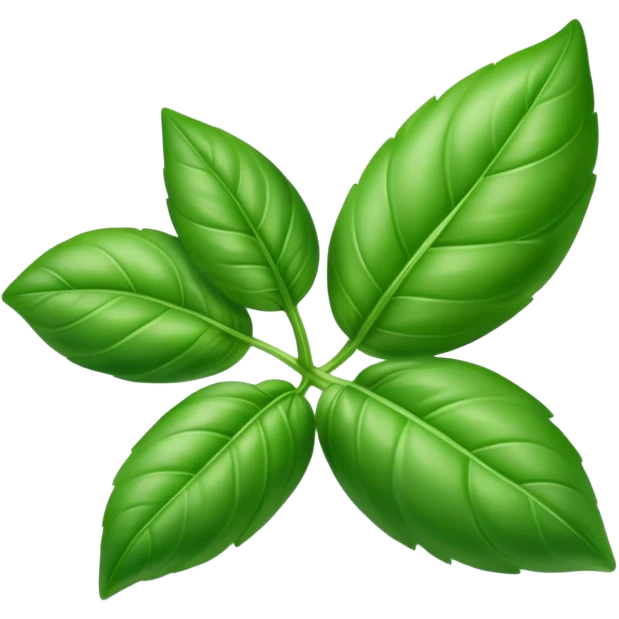 Fresh green basil herb leaf emoji