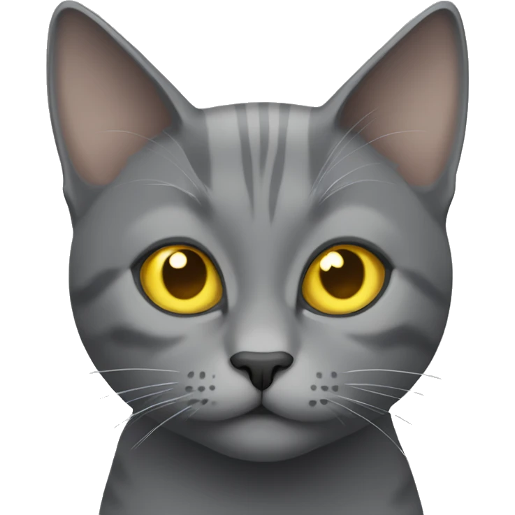 gray cat with yellow eyes without stripes emoji