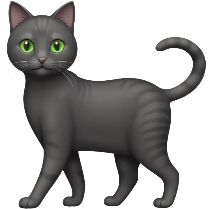 full body gorgeous solid dark grey cat with green eyes, white paws and white whiskers walking emoji