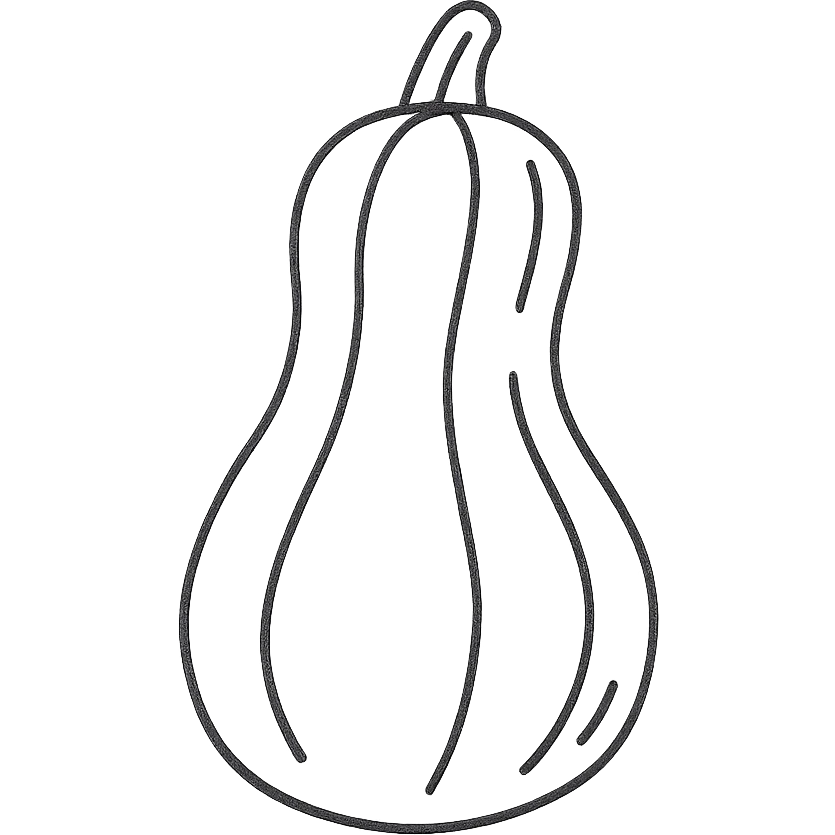 hand-drawn outlined icon of a squash fruit with playful lines emoji