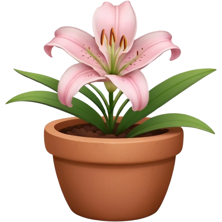 light pink lily in a clay pot emoji