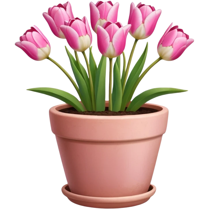 pink tulips in a plant pot in terra cota with white and pink flowers hand painted on the pot  emoji