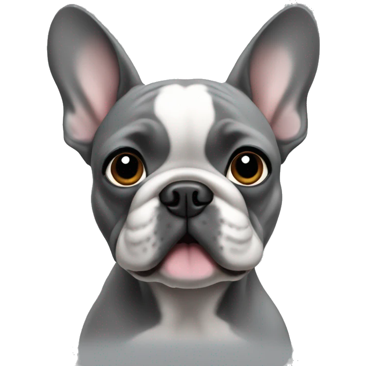 French bulldog of gray color emoji
