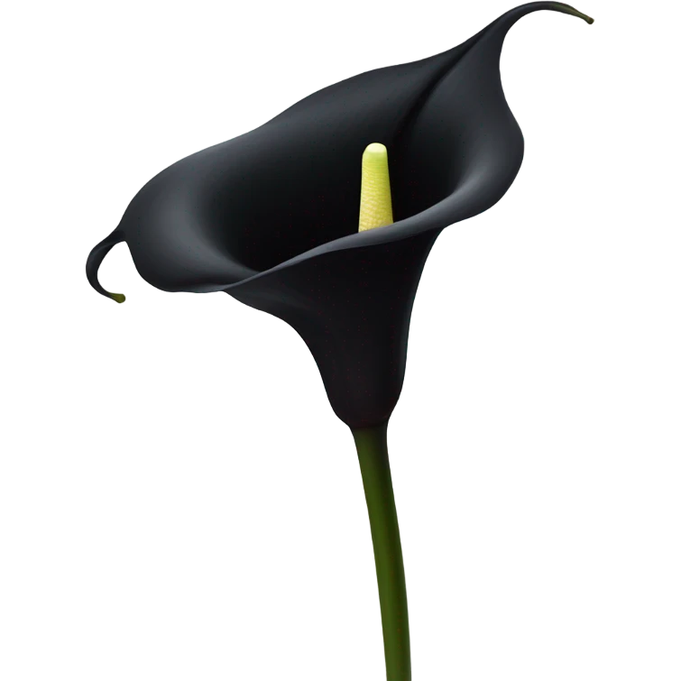 black calla lilly flower emoji
