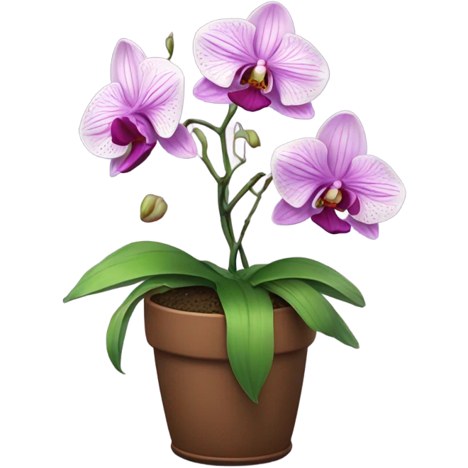 an orchid in a pot emoji