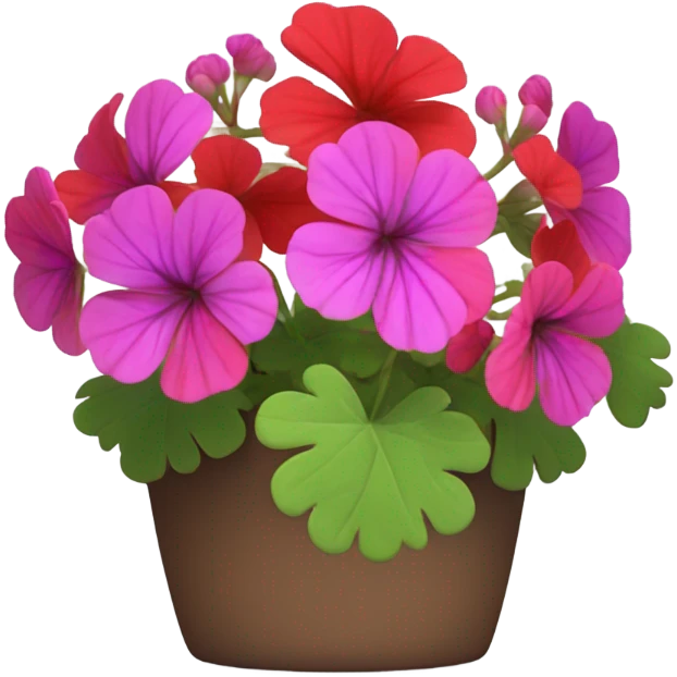 Geraniums plant  emoji