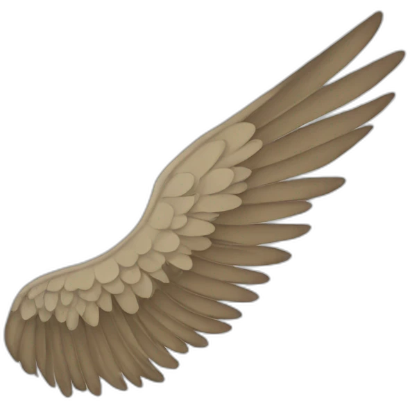 Wing left emoji