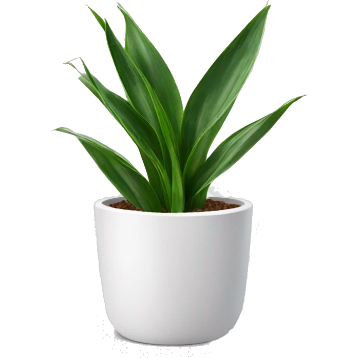 Snake plant in white pot emoji