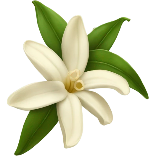 vanilla bean with flower emoji