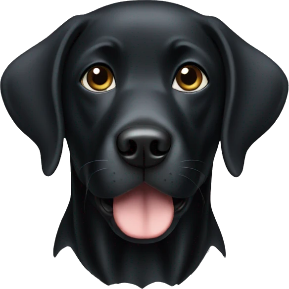 Black Labrador with white chest emoji