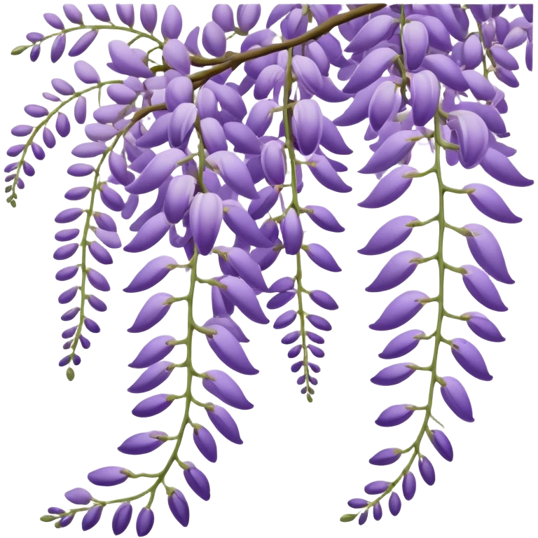 Japanese style wisteria (fuji) flower in elegant ukiyo-e inspired design, cascading purple blooms hanging like in traditional Japanese gardens, with gentle curved lines emoji