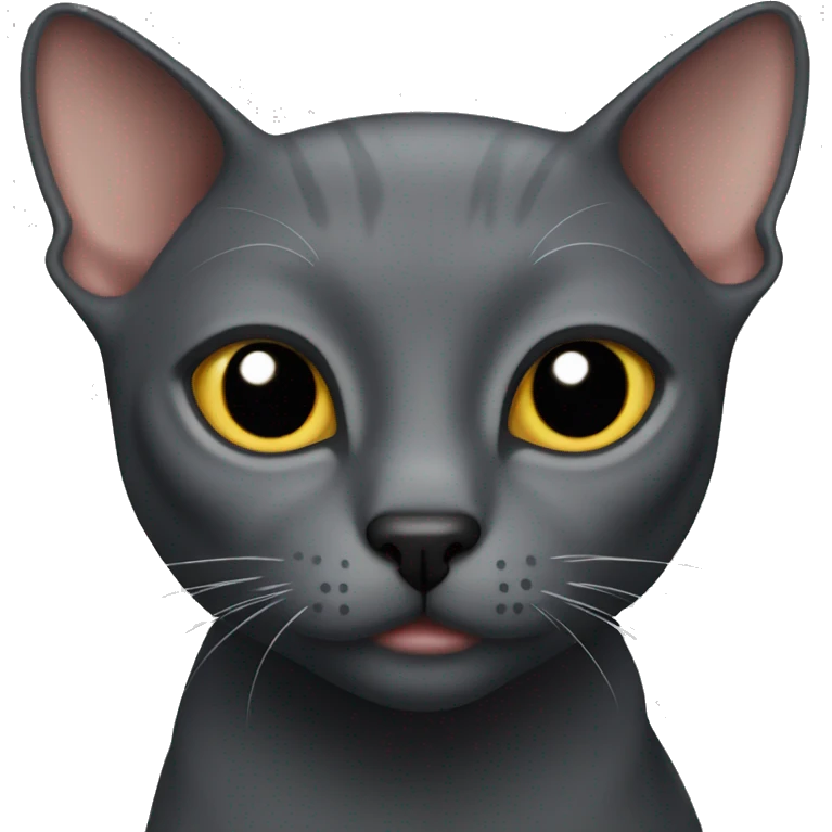 Dark Grey hairless cat  emoji