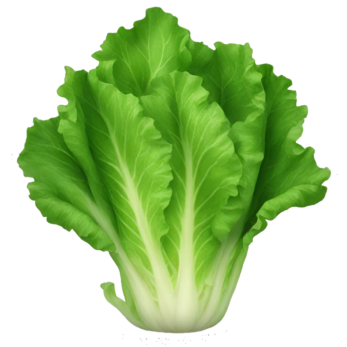 lettuce emoji