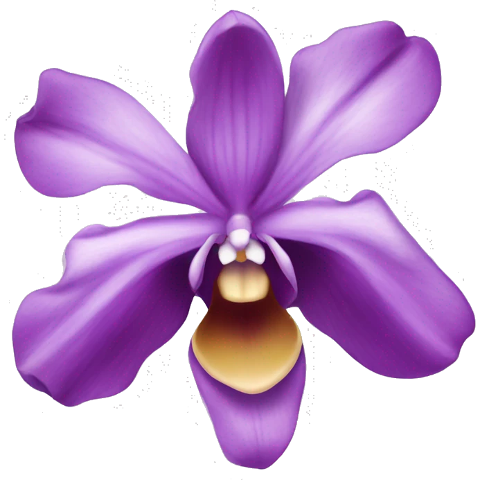 purple orchidea emoji