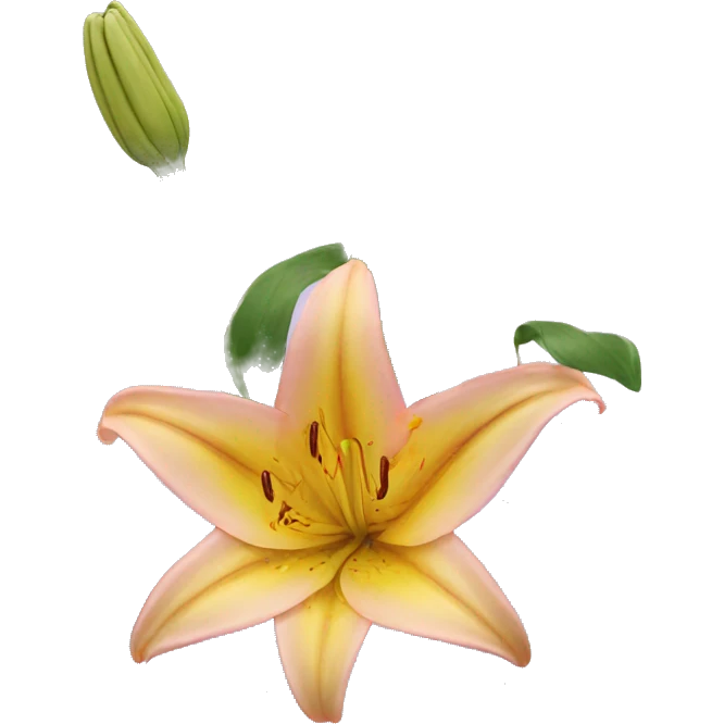 magic lilies  emoji