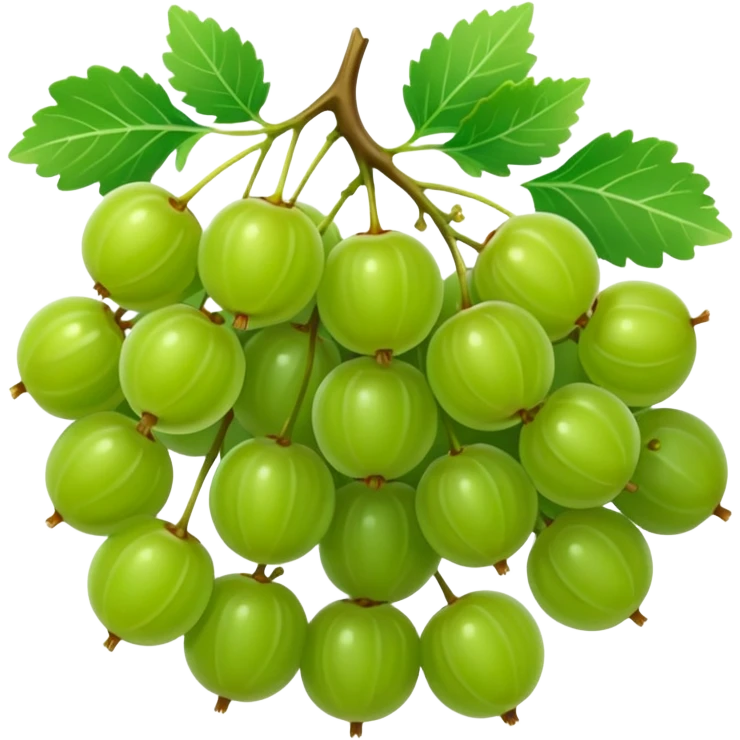 gooseberries in bunch  emoji