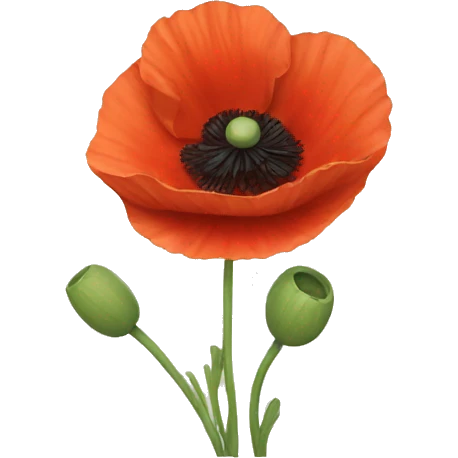 poppy emoji