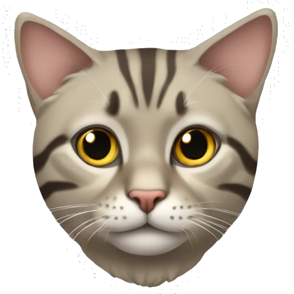 Кот с буковой и на лбу  emoji