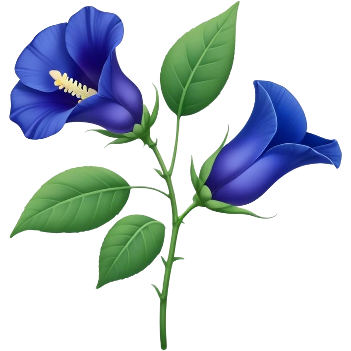 single Blue Butterfly Pea flower, stem, leaf emoji