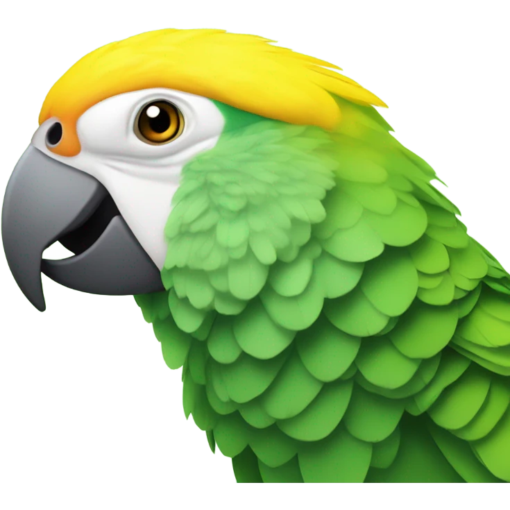 Yellow-headed amazon
Bird
 emoji