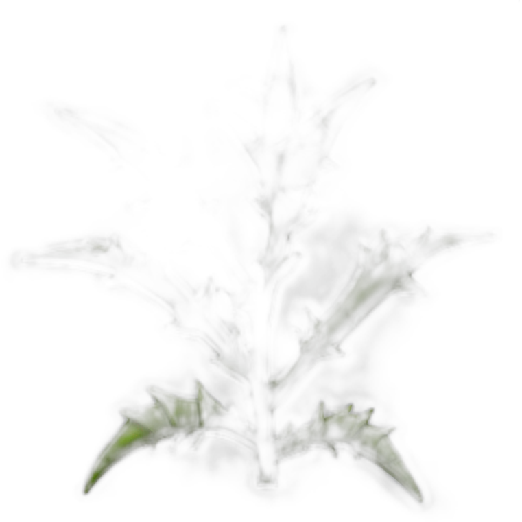 Thorns emoji