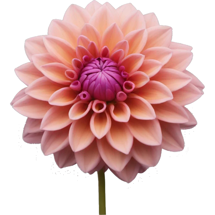 Dahlia emoji