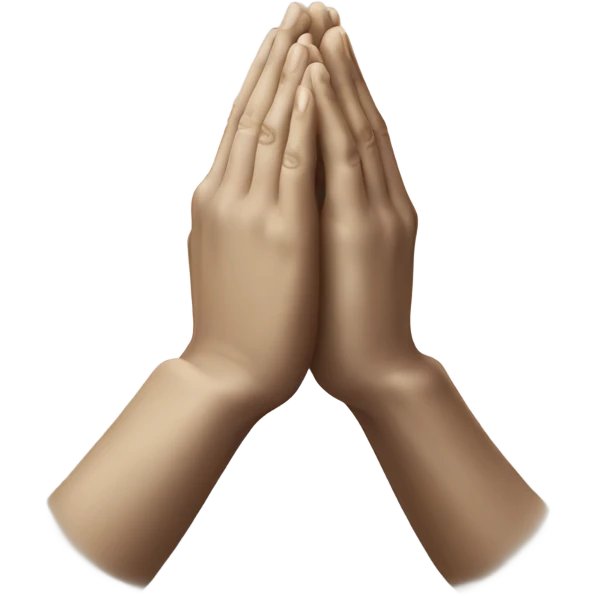 praying hands  emoji