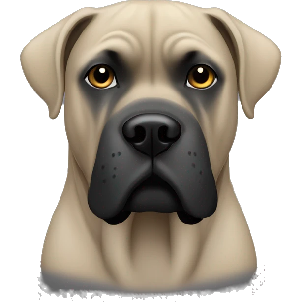 cane corso with clipped ears, black face emoji