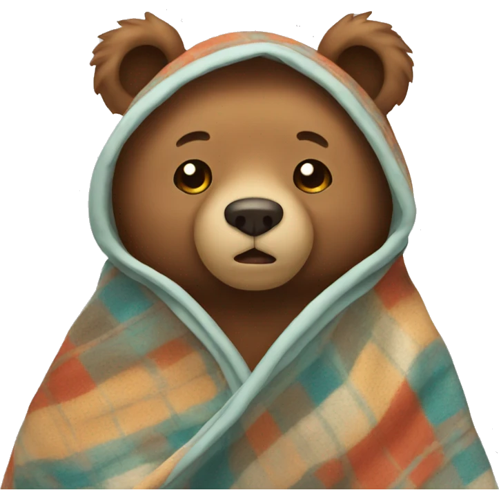 bear with blanket emoji