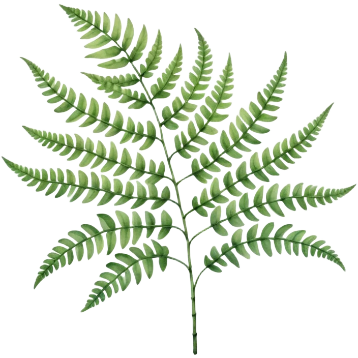 A close-up of a fern plant with intricate leaves, painted in soft watercolor greens with a subtle textured background.
 emoji