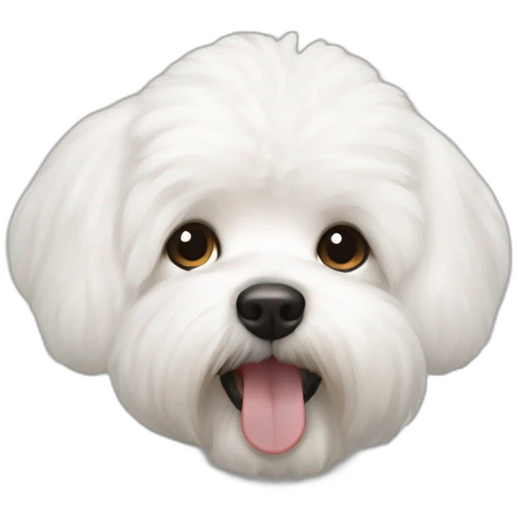 bishon frise emoji