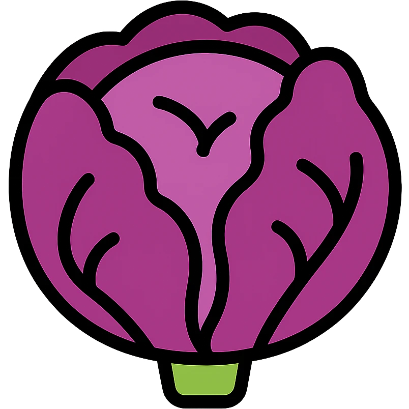 color outline icon of red cabbage with clean lines and minimal color emoji