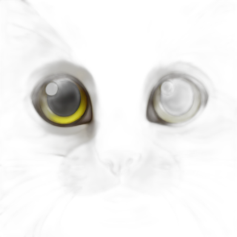 kiwi cat emoji
