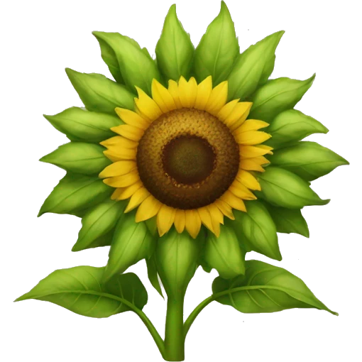 plant sunflower emoji