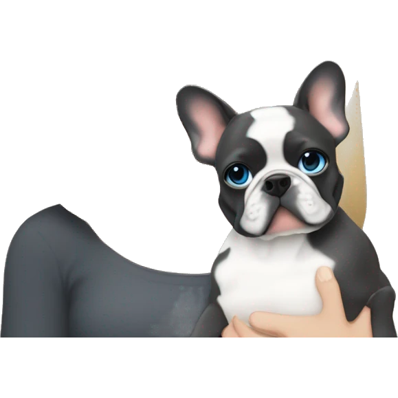 Blonde girl blue eyes holding a dark grey frenchie and a fawn pied frenchie emoji