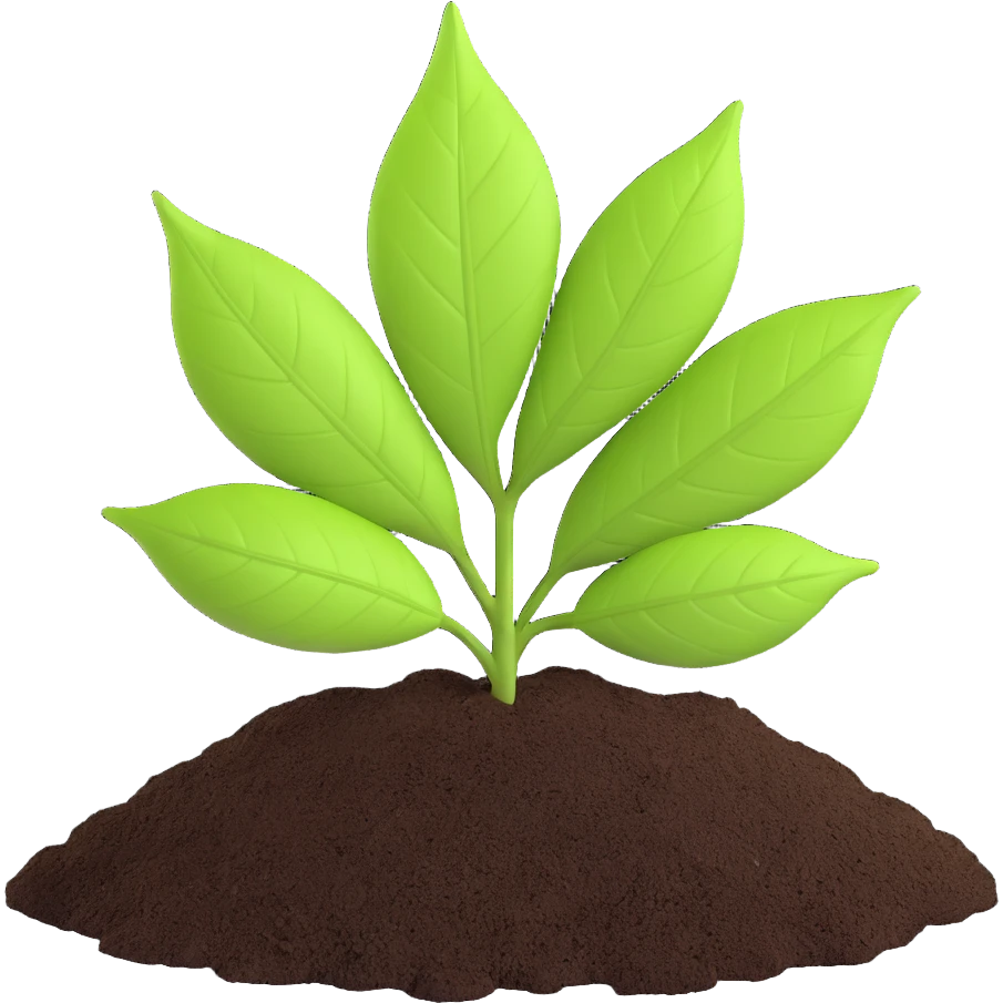A fresh green leaf placed on soil or grass, clearly above the ground. emoji