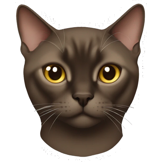 dark brown burmese cat with shaped on the face emoji