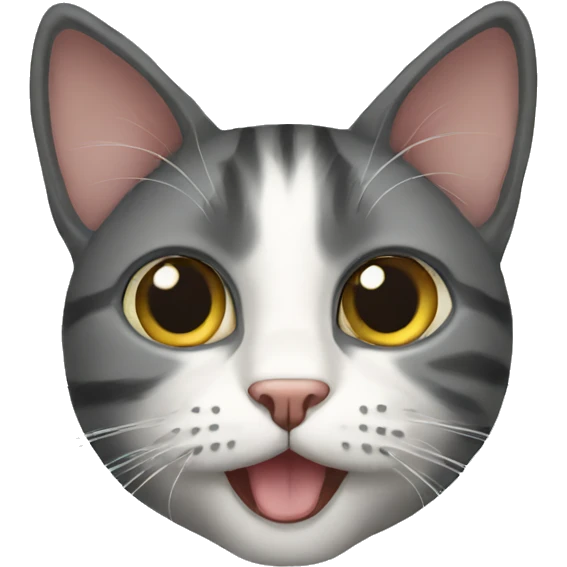 Cat emoji