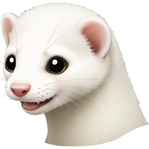 White ferret  emoji