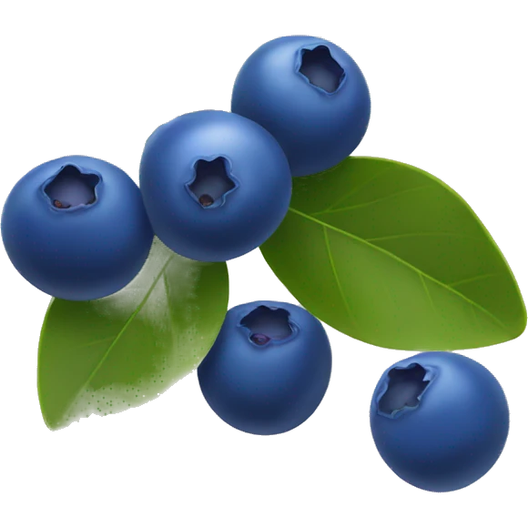 Blueberry  emoji