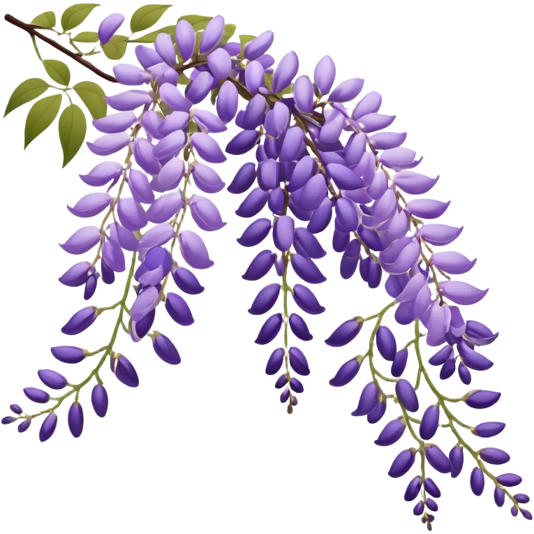 Japanese style wisteria (fuji) flower in elegant ukiyo-e inspired design, cascading purple blooms hanging like in traditional Japanese gardens, with gentle curved lines emoji