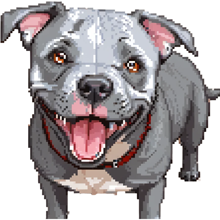 round circle puppy head full grey bleu staffy, big open mouth, big tongue out, stupid expression emoji