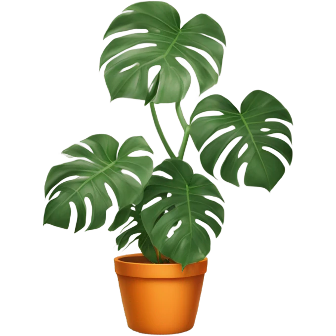 aesthetic monstera in an orange pot against an orange wall emoji