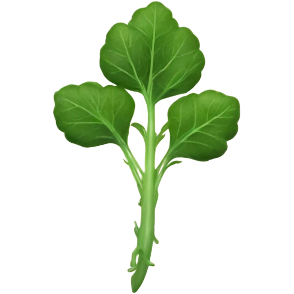 ruccola emoji