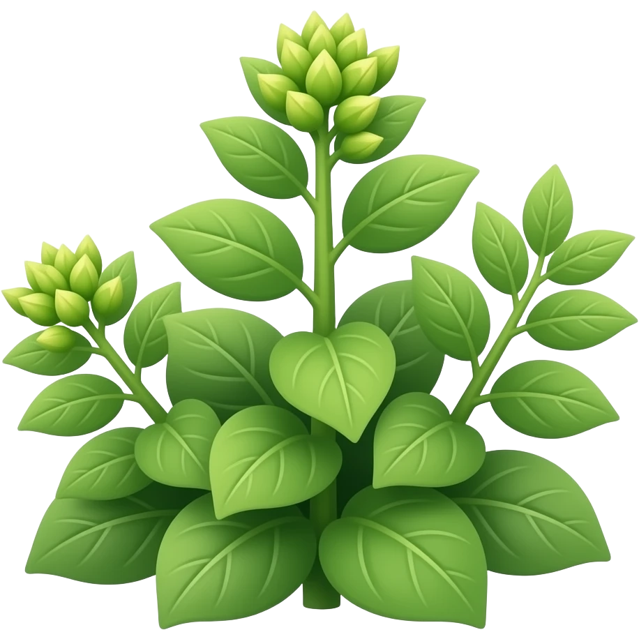 green plant from the ground with leafs And flowers budding emoji