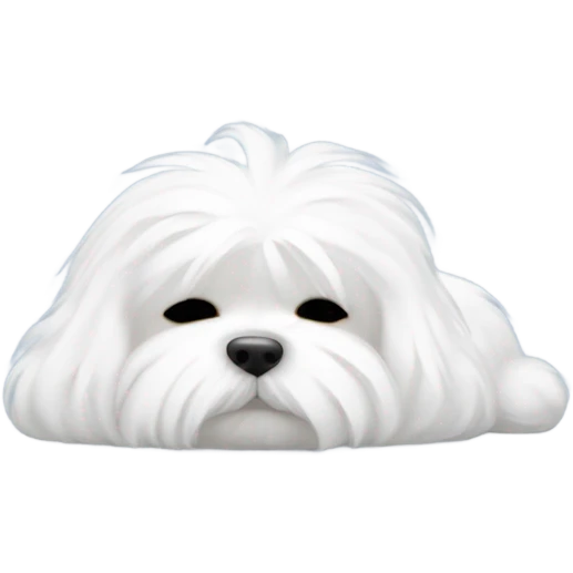 Maltese is sleeping emoji