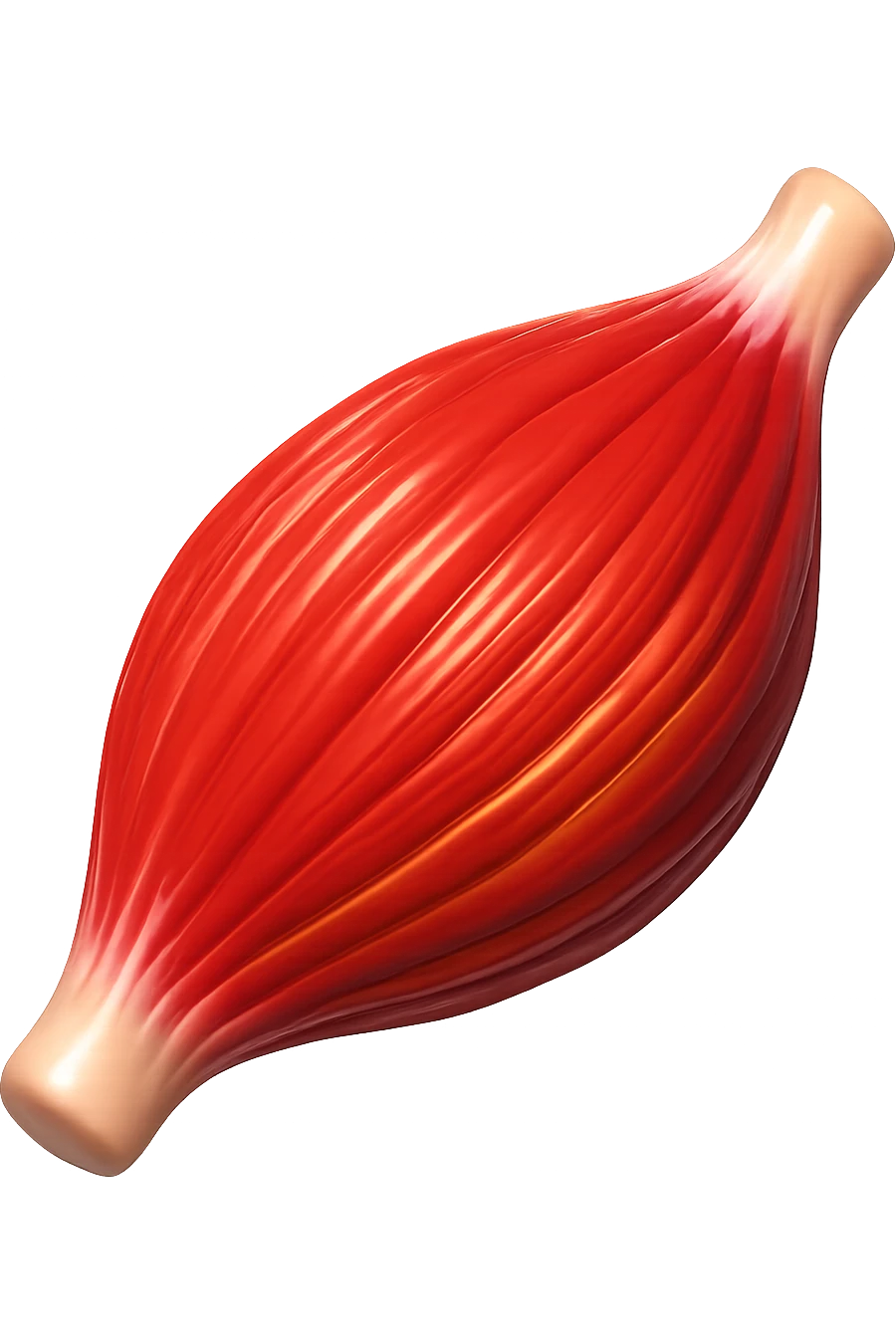 EMOJI STILE IPHONE DI UN TESSUTO MUSCOLARE UMANO IN 3D emoji