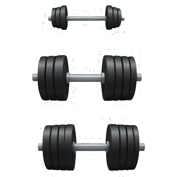 GYM WEIGHTS. emoji