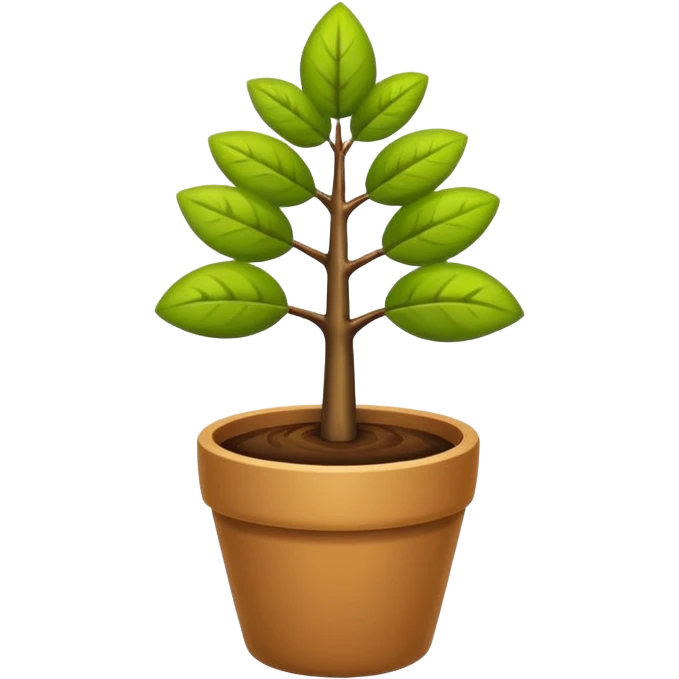 potted little tree emoji
